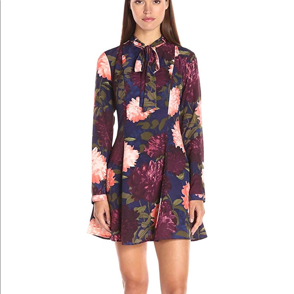 Women's Long Sleeve Floral Print Bow Tie Dress